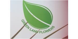 Green Land Flowers