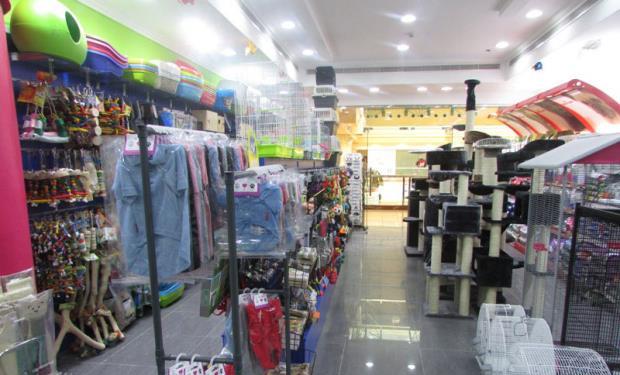 Super Quality Pets Accessories Image-4