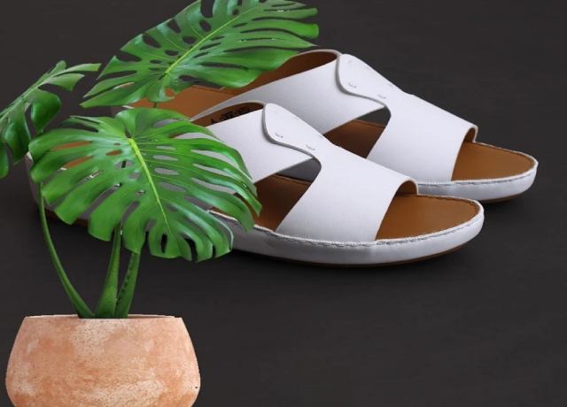 احذية كارلو 2